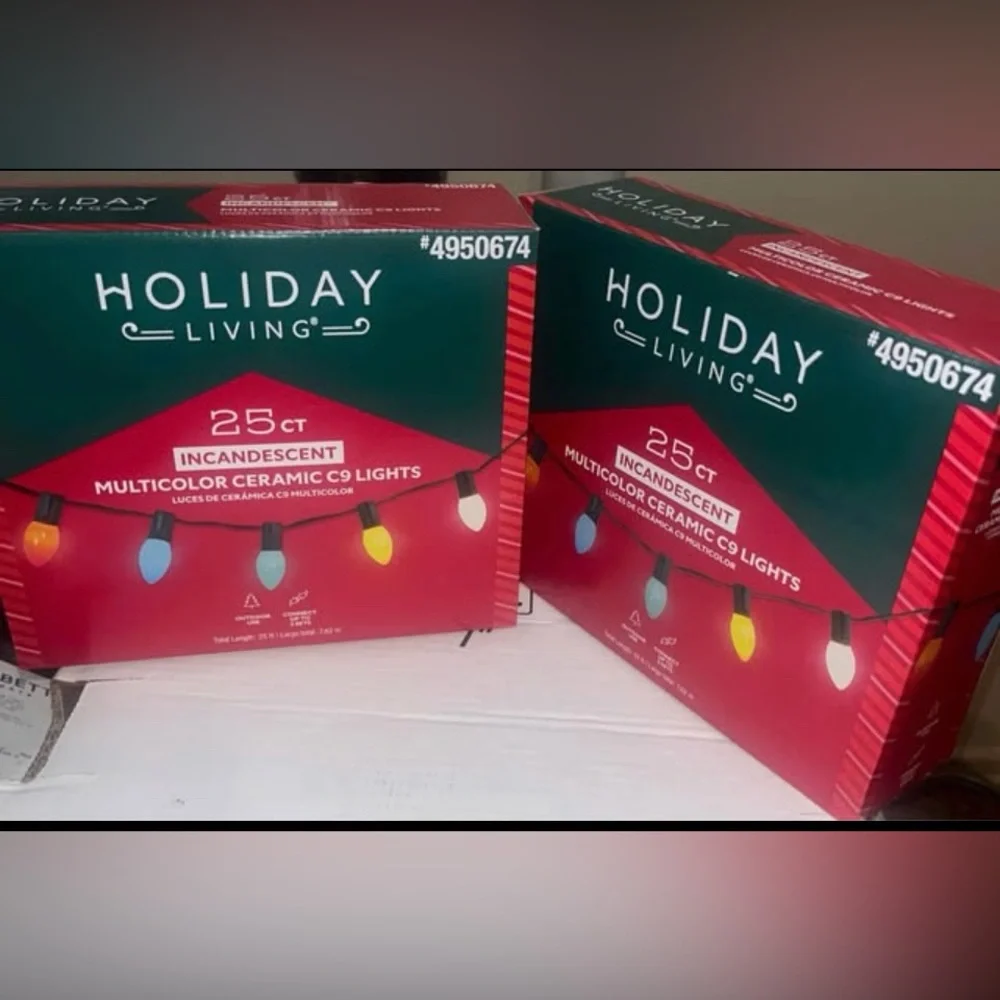 ⚡️2 Holiday Living 25ct Ceramic C9‎ Multicolored Christmas Lights Party Lights